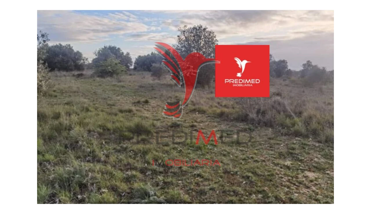 Terreno para Venda em Zibreira Foto 17