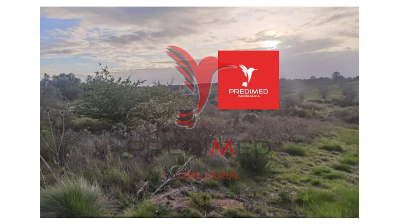 Terreno para Venda em Zibreira Foto 14