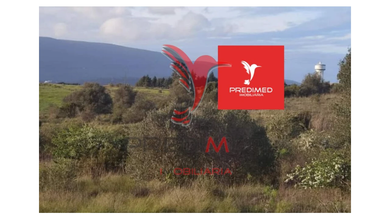 Terreno para Venda em Zibreira Foto 6