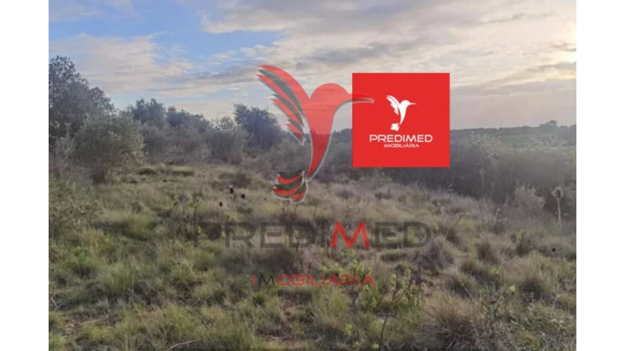 Terreno para Venda em Zibreira Foto 8