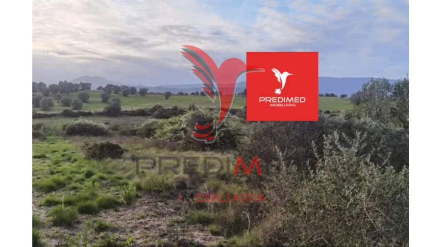 Terreno para Venda em Zibreira Foto 10