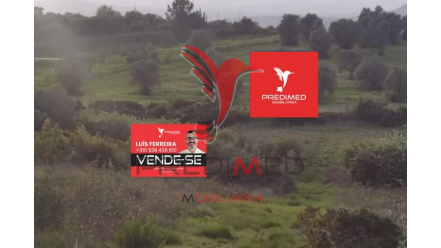 Terreno para Venda em Zibreira Foto 3