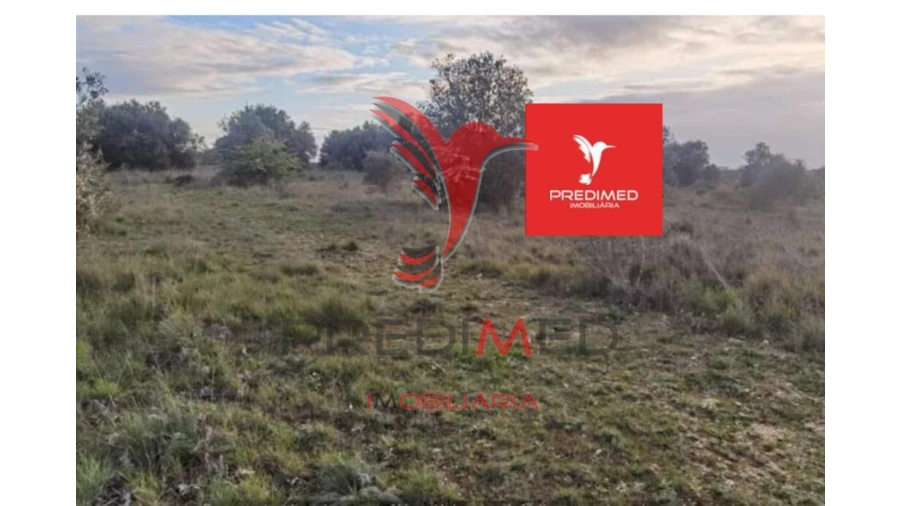 Terreno para Venda em Zibreira Foto 17