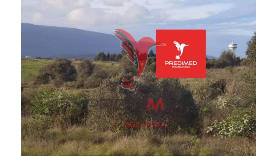 Terreno para Venda em Zibreira Foto 6