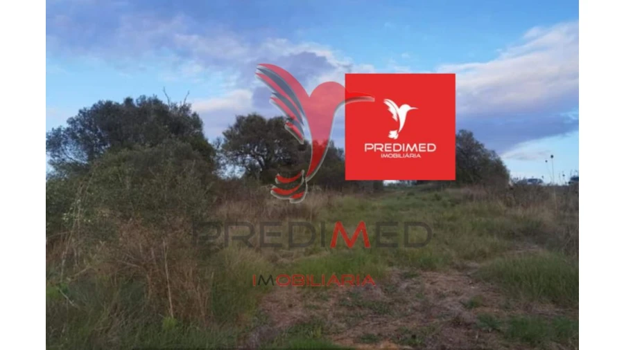 Terreno para Venda em Zibreira Foto 15