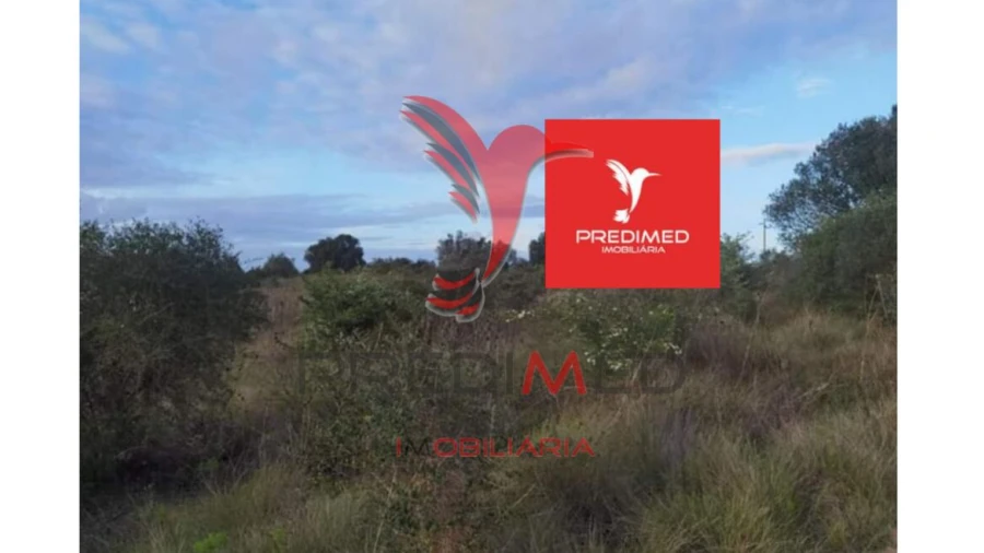 Terreno para Venda em Zibreira Foto 11