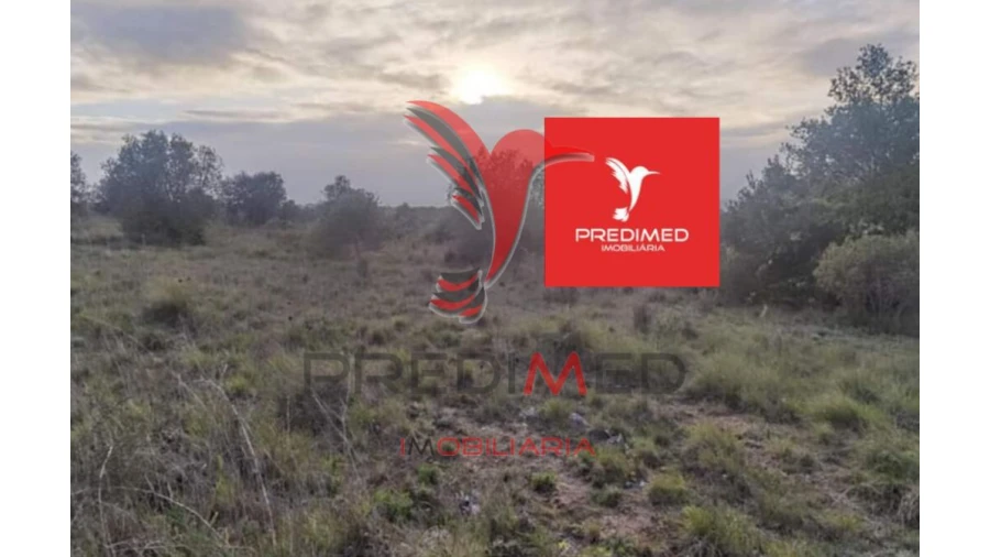 Terreno para Venda em Zibreira Foto 18