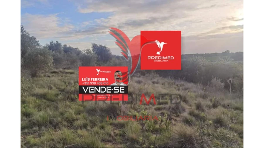 Terreno para Venda em Zibreira Foto 4