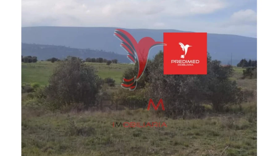 Terreno para Venda em Zibreira Foto 16