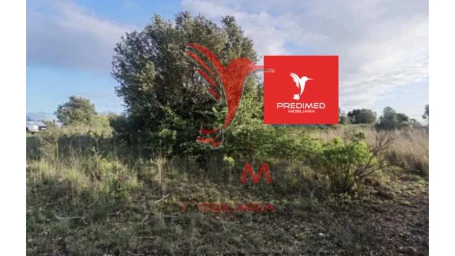 Terreno para Venda em Zibreira Foto 19