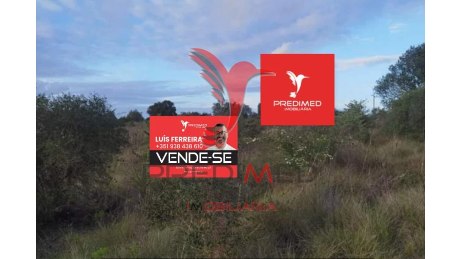 Terreno para Venda em Zibreira Foto 2