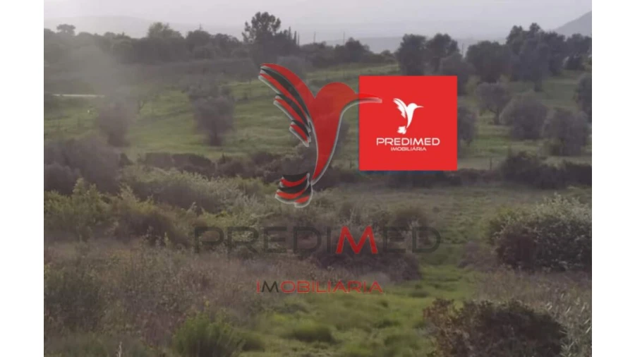 Terreno para Venda em Zibreira Foto 9