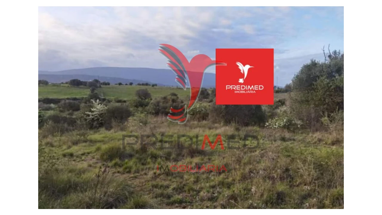 Terreno para Venda em Zibreira Foto 7