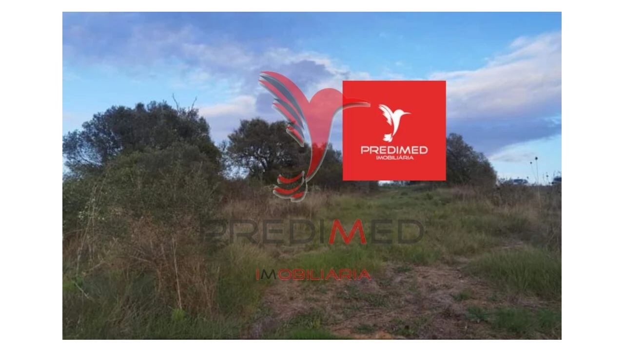 Terreno para Venda em Zibreira Foto 15