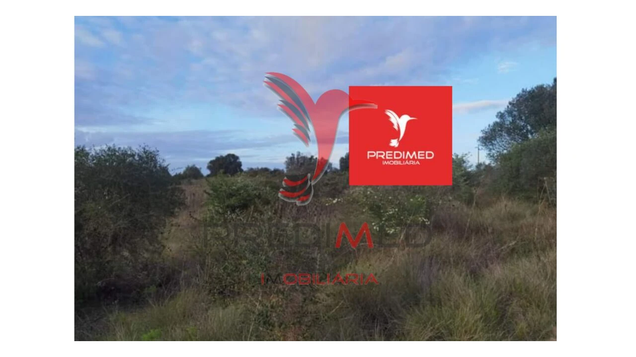 Terreno para Venda em Zibreira Foto 11