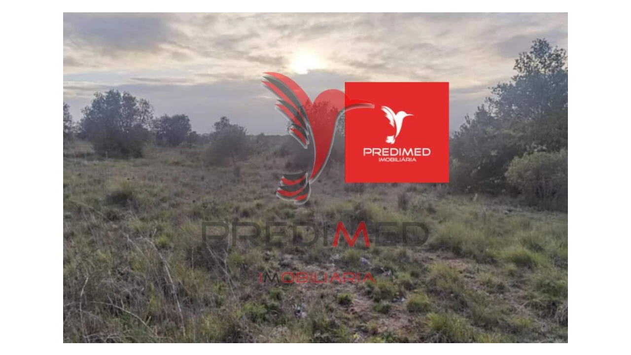 Terreno para Venda em Zibreira Foto 18