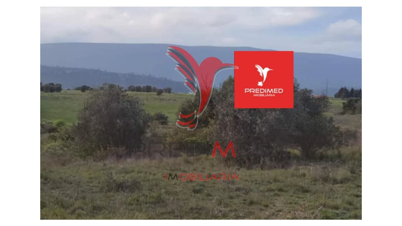 Terreno para Venda em Zibreira Foto 16