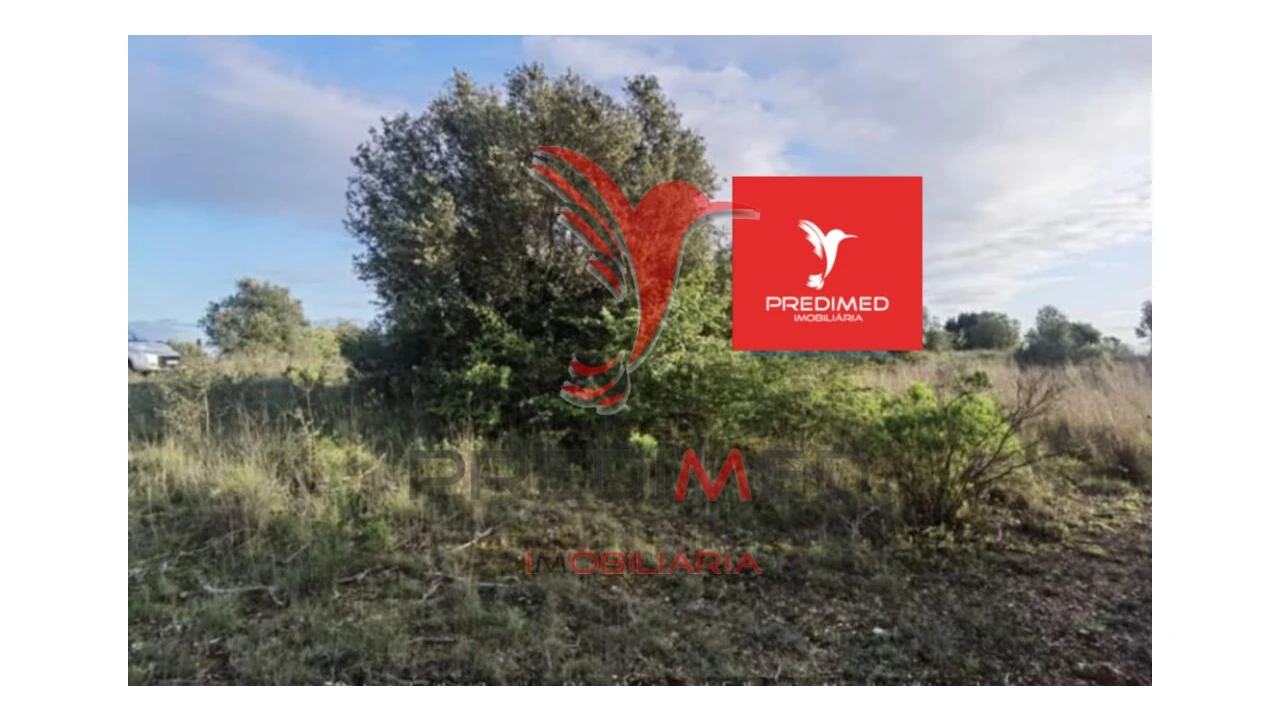 Terreno para Venda em Zibreira Foto 19