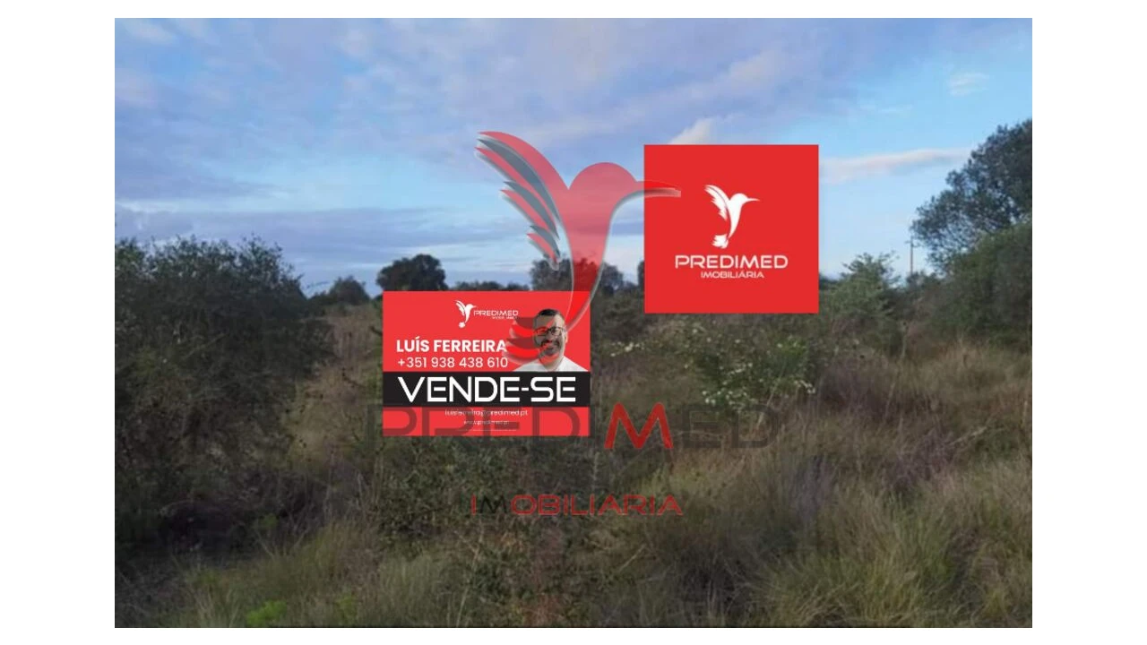 Terreno para Venda em Zibreira Foto 2