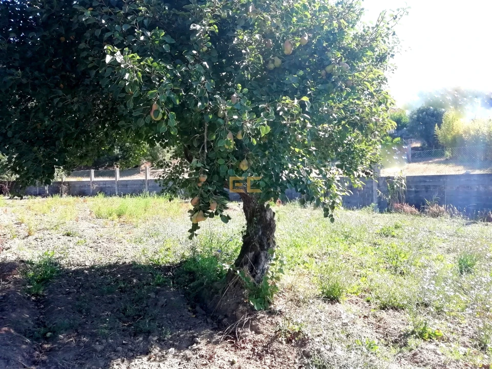 Terreno para Venda em Vila Verde Foto 5