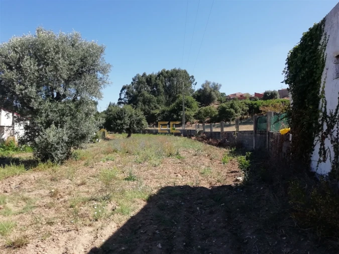 Terreno para Venda em Vila Verde Foto 7