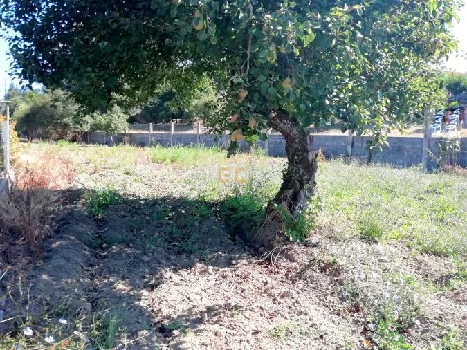 Terreno para Venda em Vila Verde Foto 6