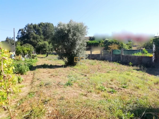 Terreno para Venda em Vila Verde