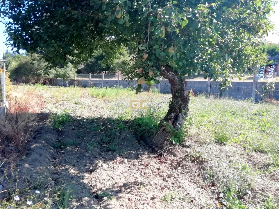 Terreno para Venda em Vila Verde Foto 7
