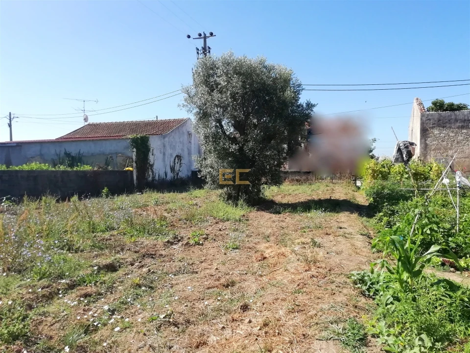 Terreno para Venda em Vila Verde Foto 3