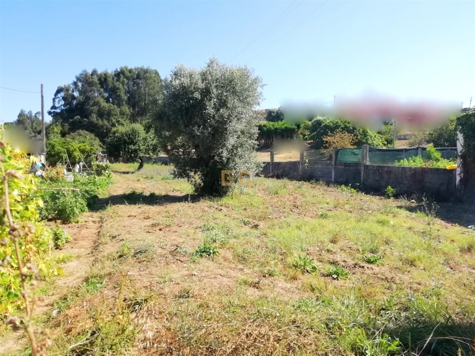 Terreno para Venda em Vila Verde Foto 2