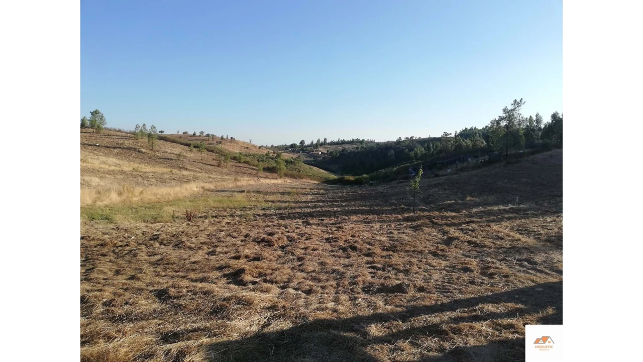 Terreno para Venda em Benquerenças Foto 6