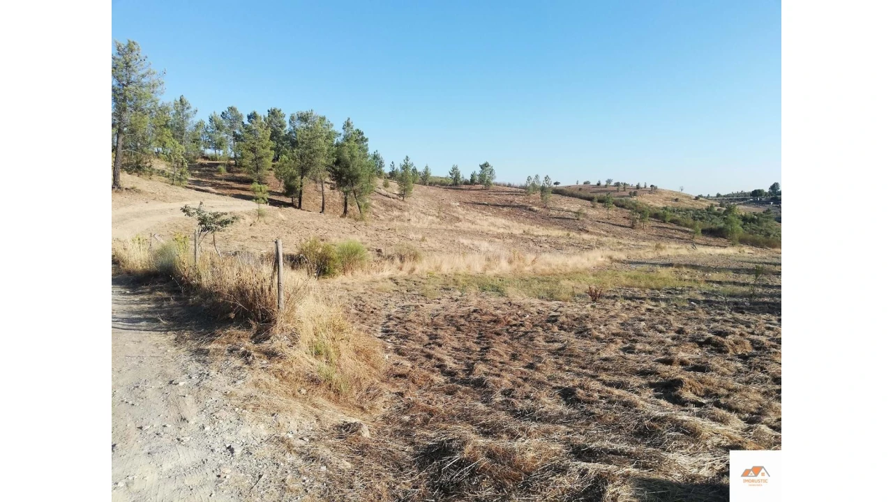 Terreno para Venda em Benquerenças Foto 2