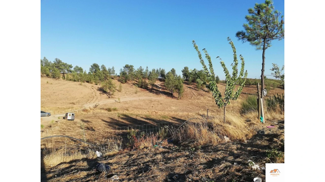 Terreno para Venda em Benquerenças Foto 3