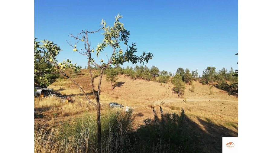 Terreno para Venda em Benquerenças Foto 21
