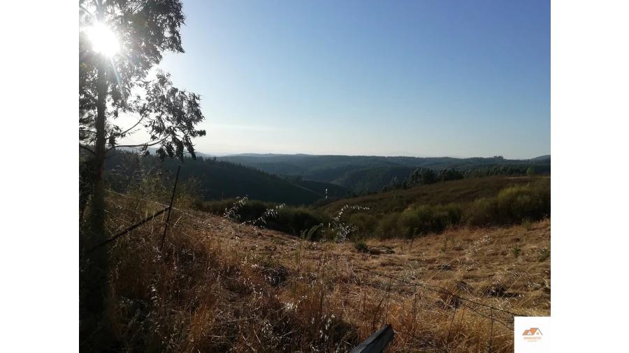 Terreno para Venda em Benquerenças Foto 22