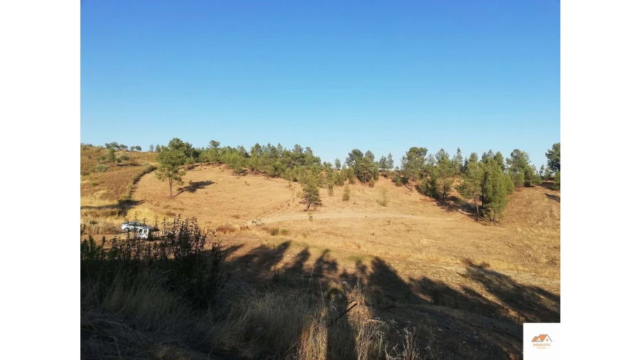 Terreno para Venda em Benquerenças Foto 20