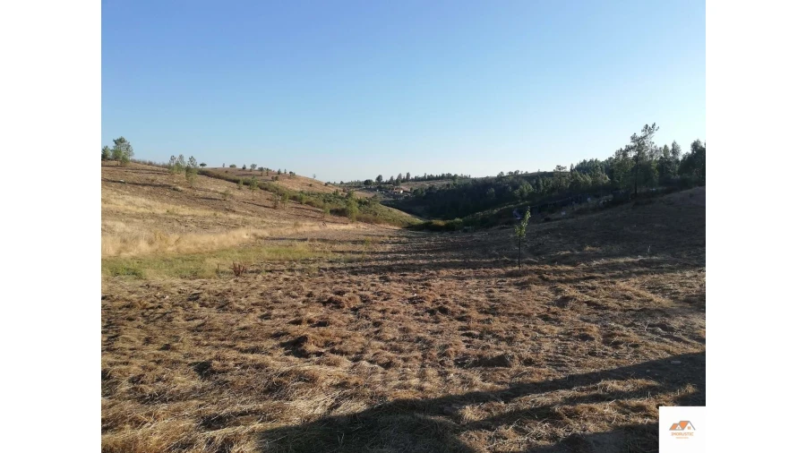Terreno para Venda em Benquerenças Foto 6