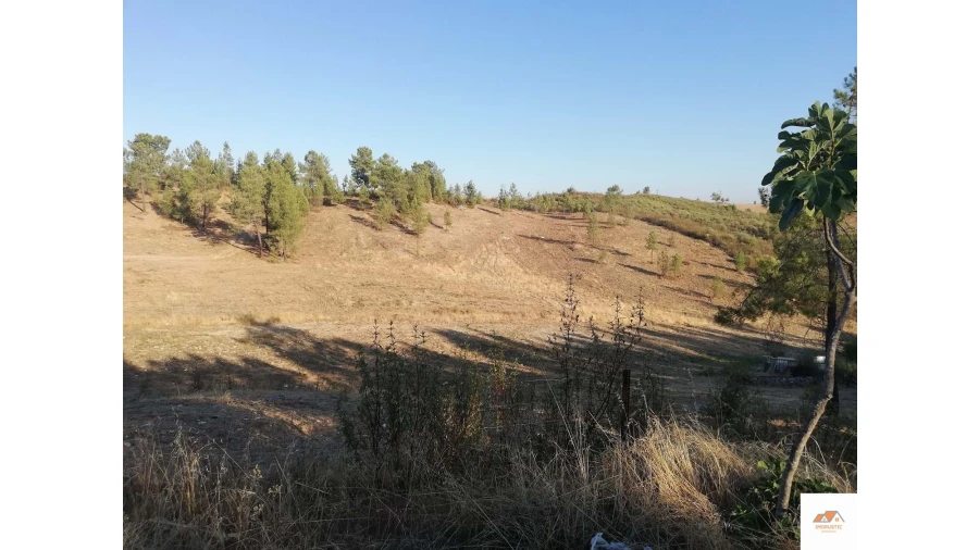 Terreno para Venda em Benquerenças Foto 16