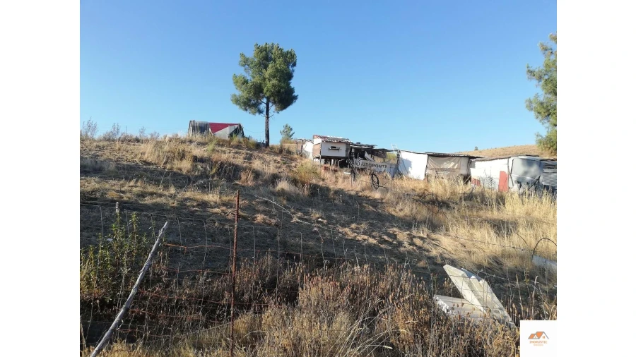 Terreno para Venda em Benquerenças Foto 8