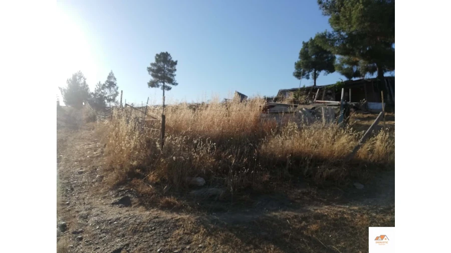 Terreno para Venda em Benquerenças Foto 5