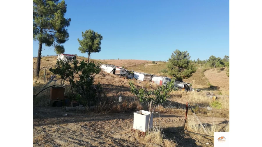 Terreno para Venda em Benquerenças Foto 11