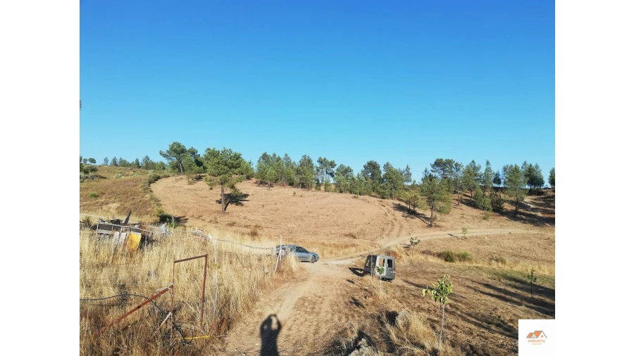 Terreno para Venda em Benquerenças Foto 7
