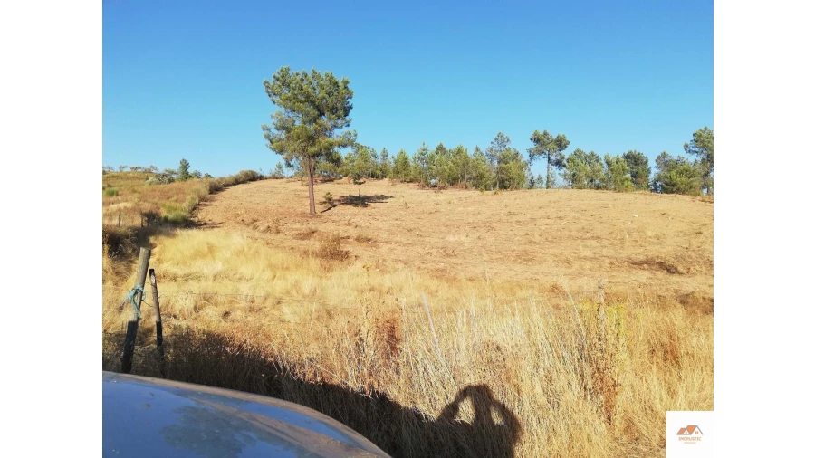 Terreno para Venda em Benquerenças Foto 4