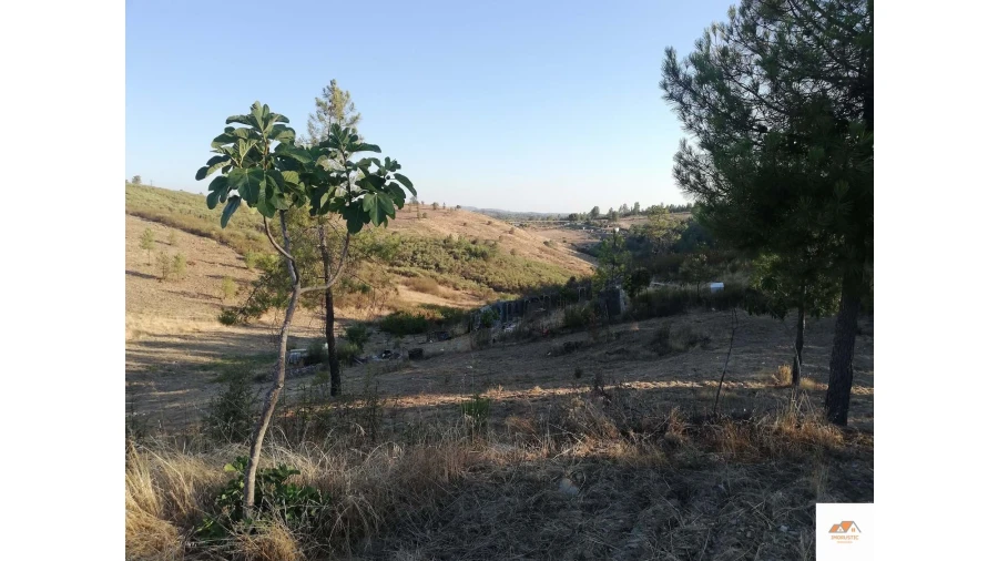 Terreno para Venda em Benquerenças Foto 15