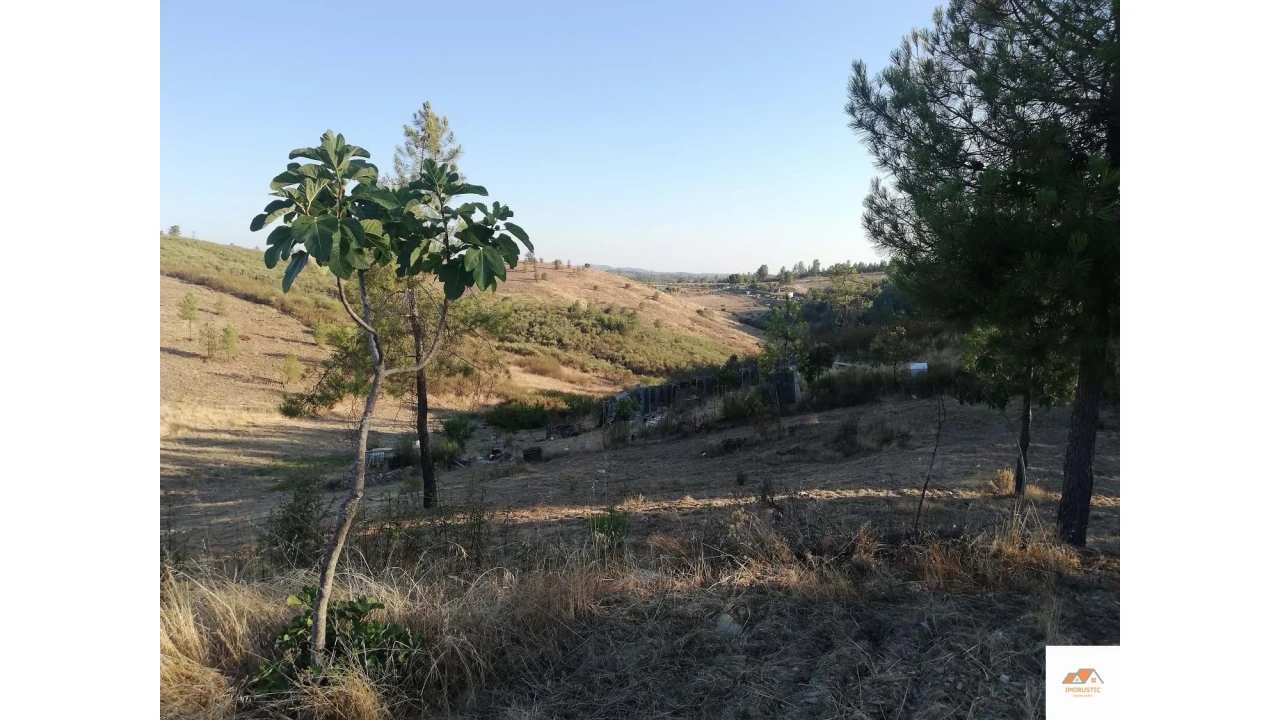 Terreno para Venda em Benquerenças Foto 15