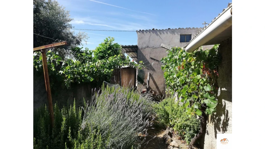 Terreno para Venda em Castelo Branco Foto 6