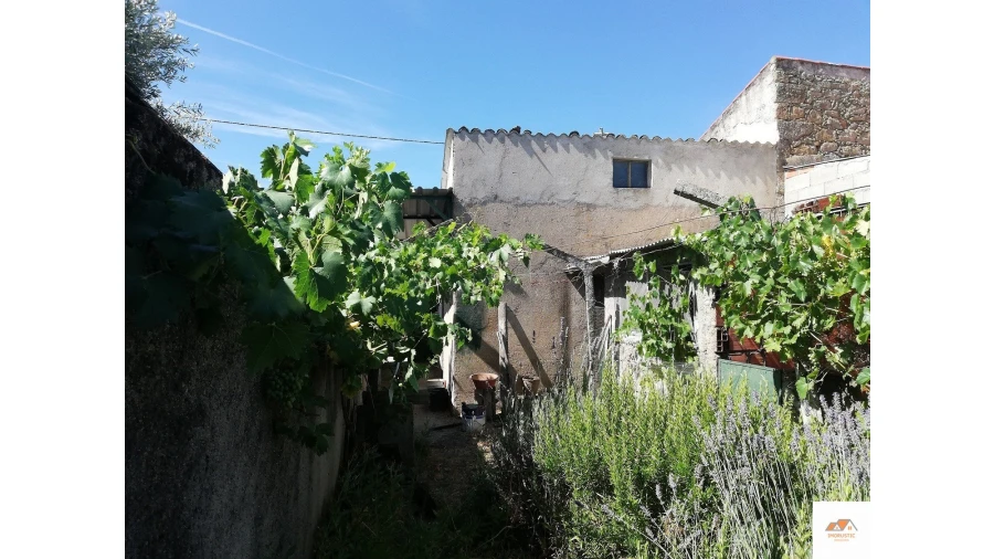 Terreno para Venda em Castelo Branco Foto 2