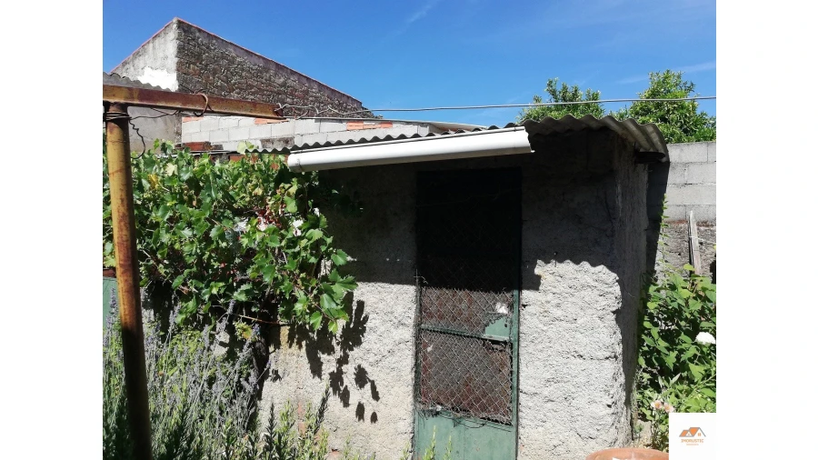 Terreno para Venda em Castelo Branco Foto 3