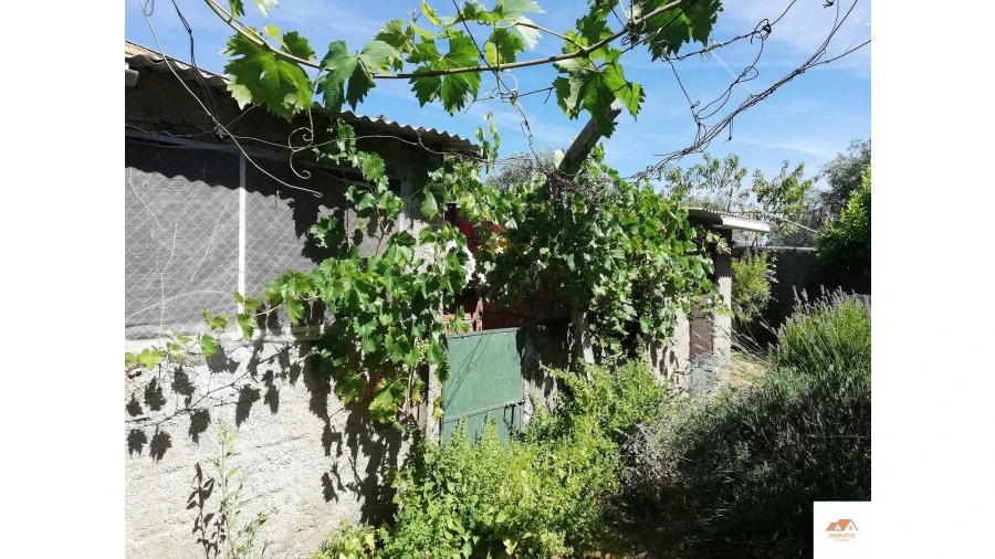 Terreno para Venda em Castelo Branco Foto 8