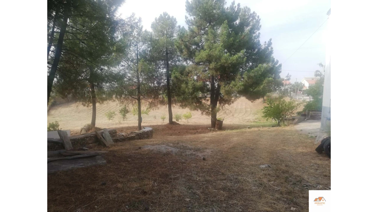 Negócio para Venda em Cebolais de Cima e Retaxo Foto 20